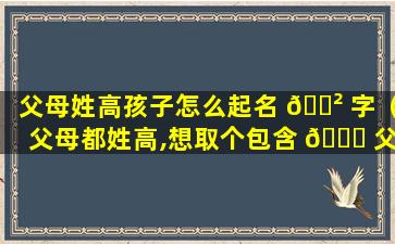 父母姓高孩子怎么起名 🌲 字（父母都姓高,想取个包含 🐋 父母姓的名字）